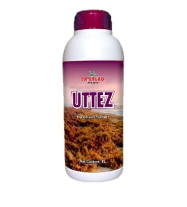 UTTEZ