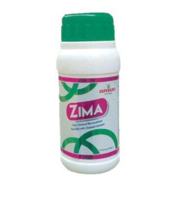 Zima