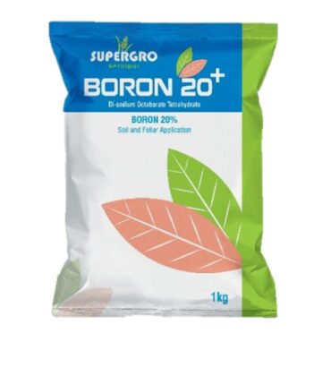 Boron 20+